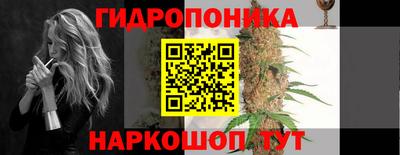 стаф Обь