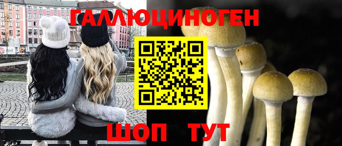 Свободный  Галлюциногенные грибы ЛСД  Вход с VPN 