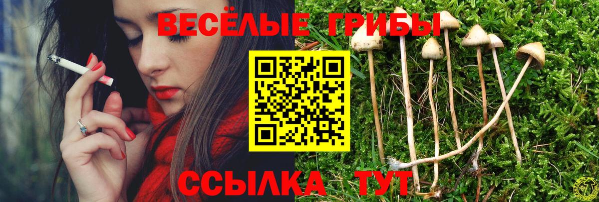 Галлюциногенные грибы прущие грибы Свободный